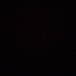 Meet your Posher, Augusto